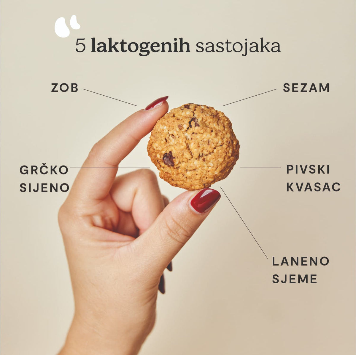 MISCELA BISCOTTI PER L'ALLATTAMENTO - per 25 biscotti
