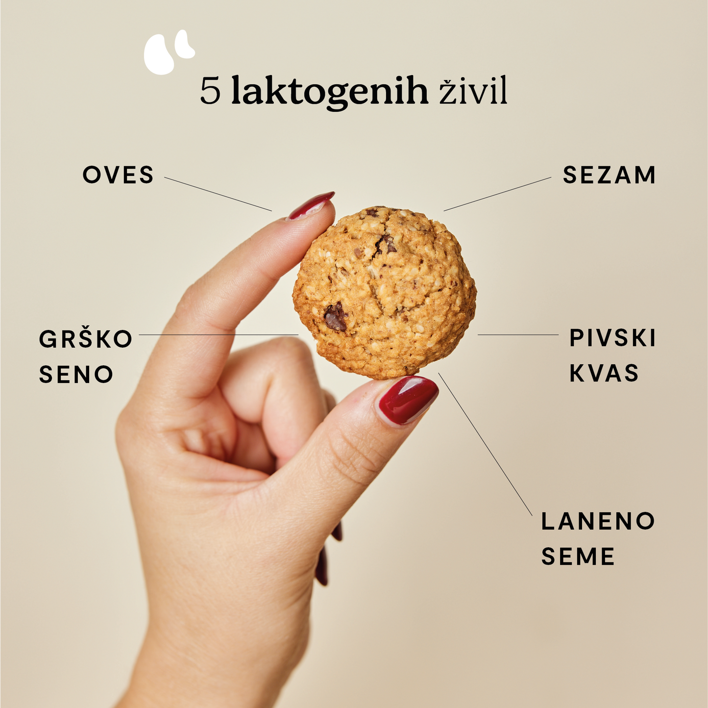 MISCELA BISCOTTI PER L'ALLATTAMENTO - per 25 biscotti