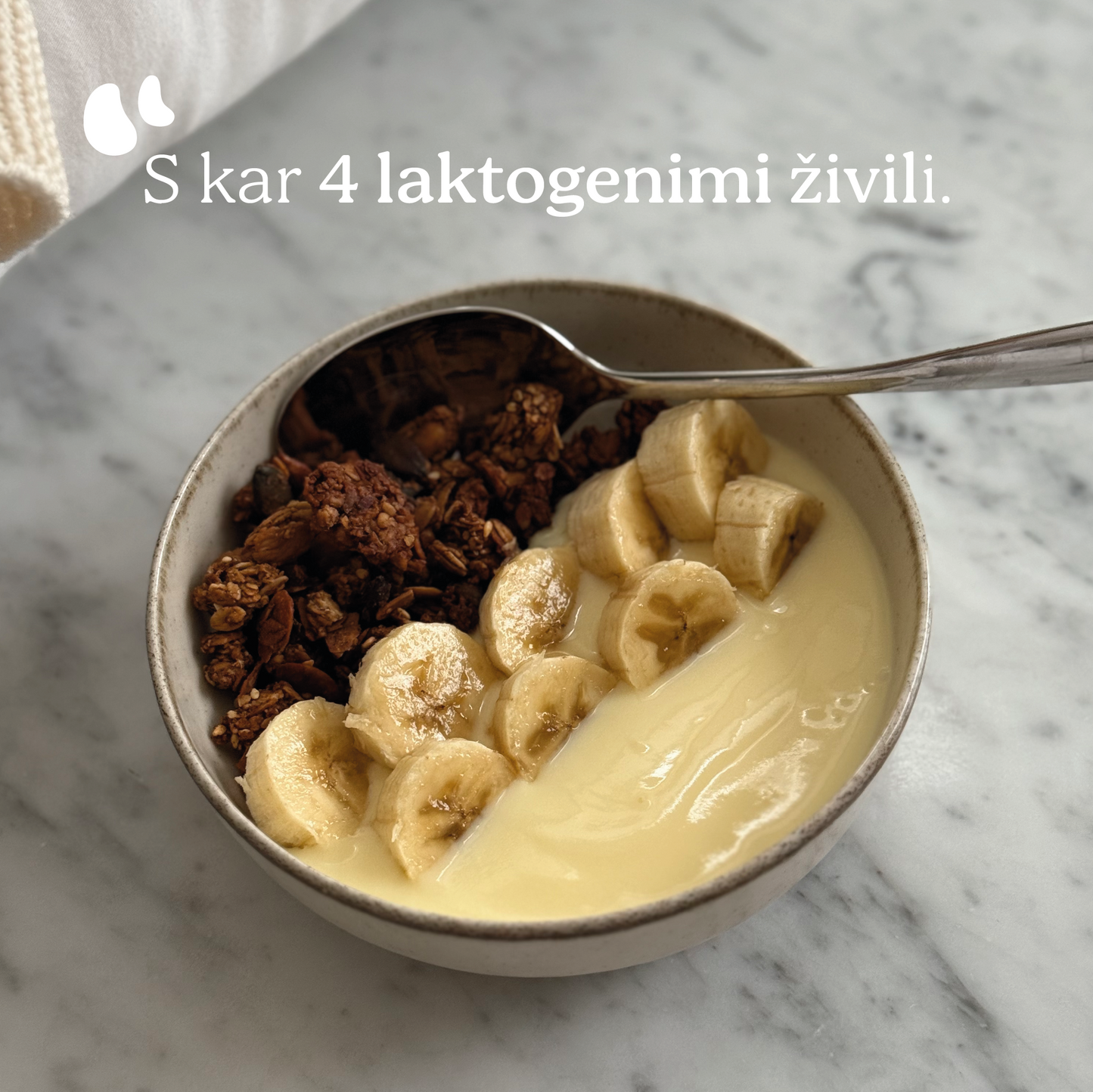 LAKTACIJSKA GRANOLA 320g