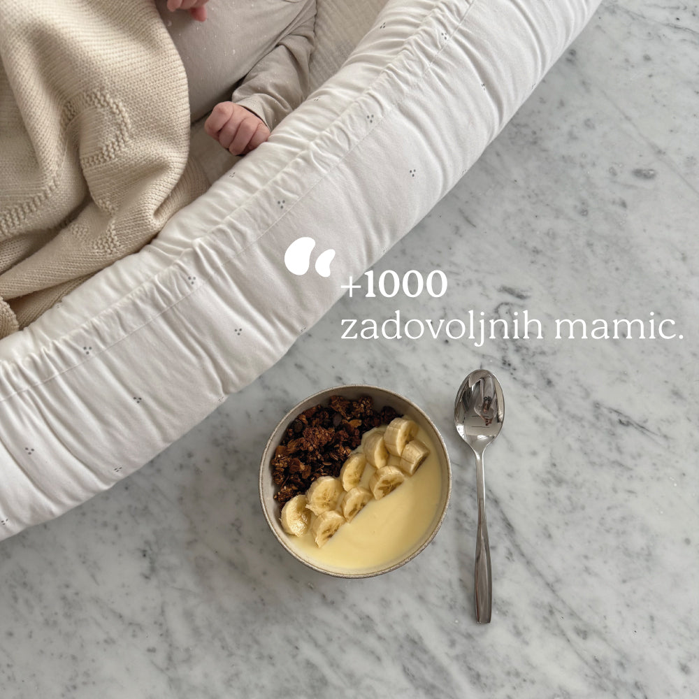 LAKTACIJSKA GRANOLA 320g