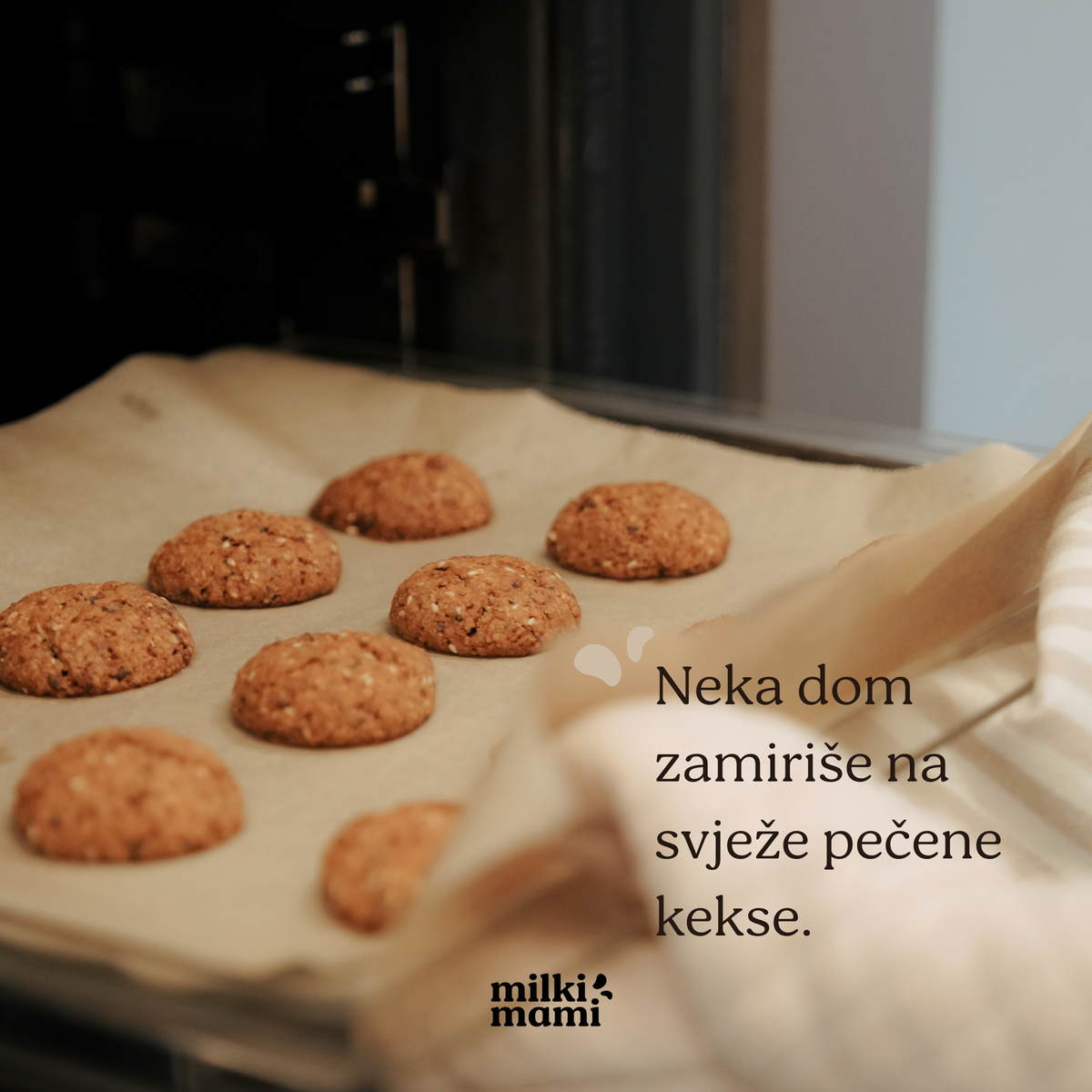 VEGANSKA MJEŠAVINA ZA LAKTACIJSKE KEKSE za 25 keksa