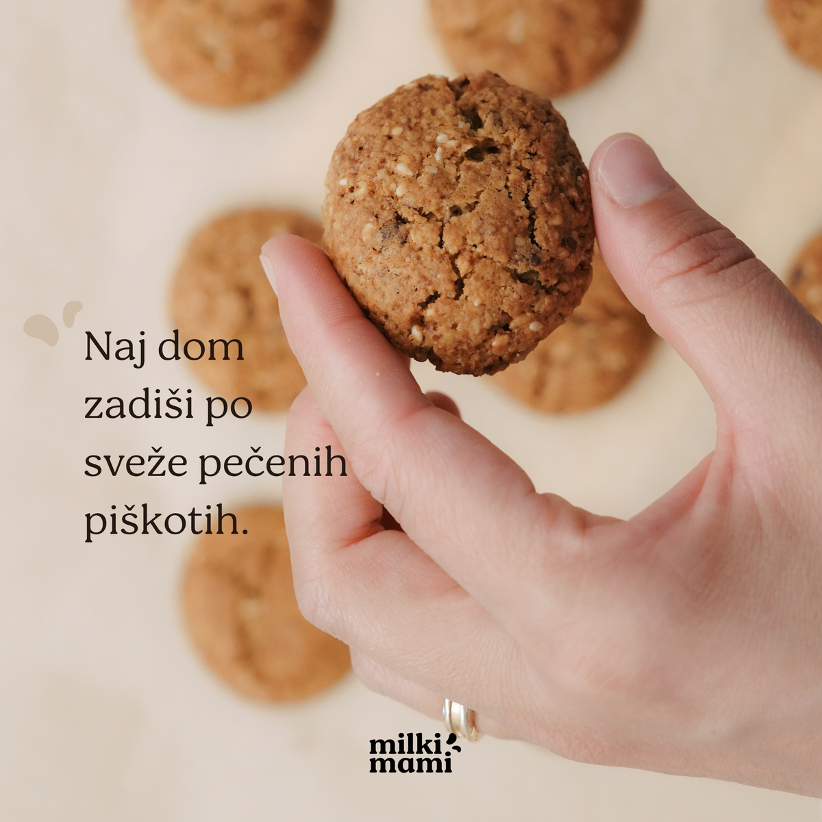 MJEŠAVINA ZA LAKTACIJSKE KEKSE za 25 keksa