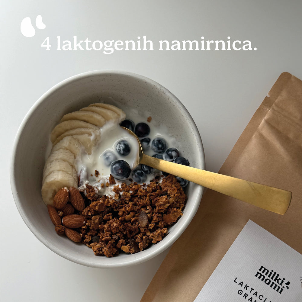 LAKTACIJSKA GRANOLA