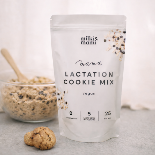 MISCELA BISCOTTI VEGANI PER L'ALLATTAMENTO - per 25 biscotti