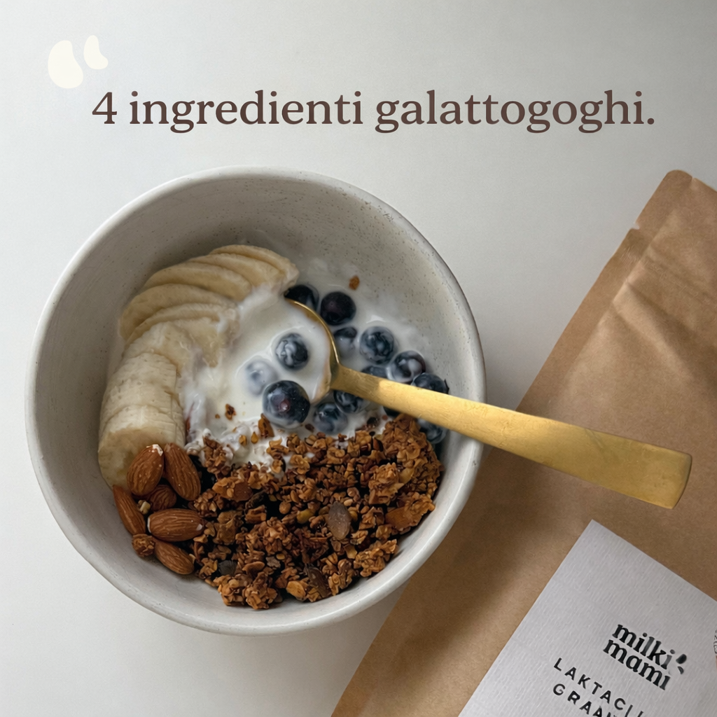 GRANOLA PER L’ALLATTAMENTO