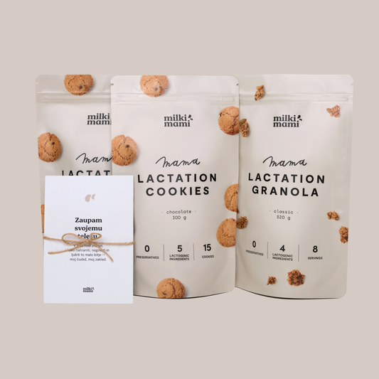 CLASSICI biscotti per l'allattamento con cioccolato