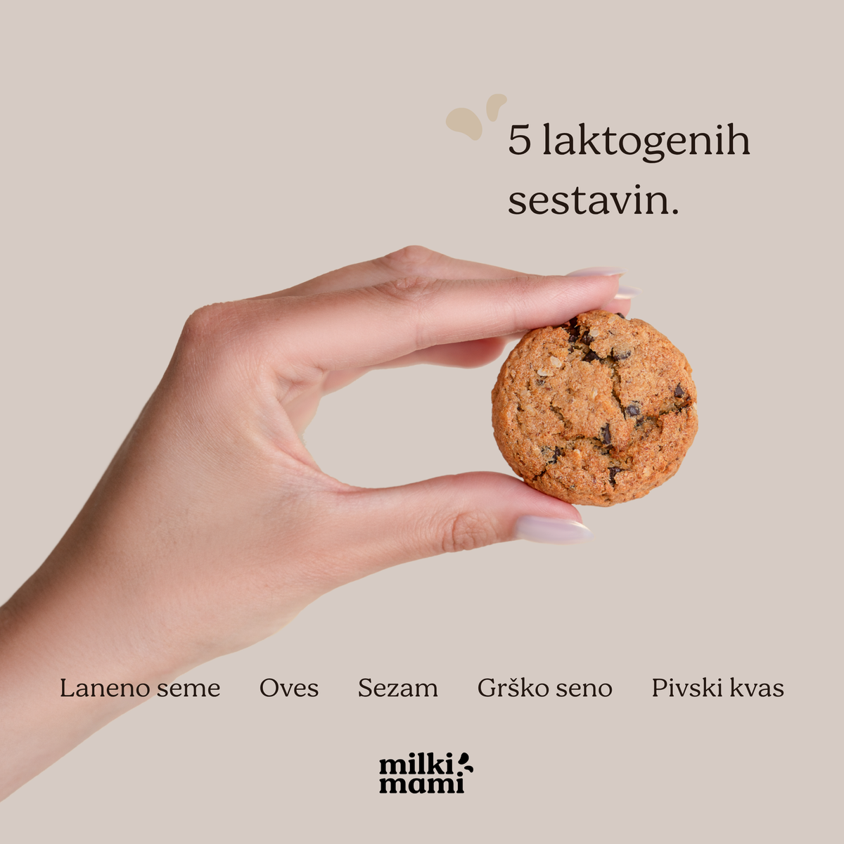 CLASSIC laktacijski keksi s čokoladom