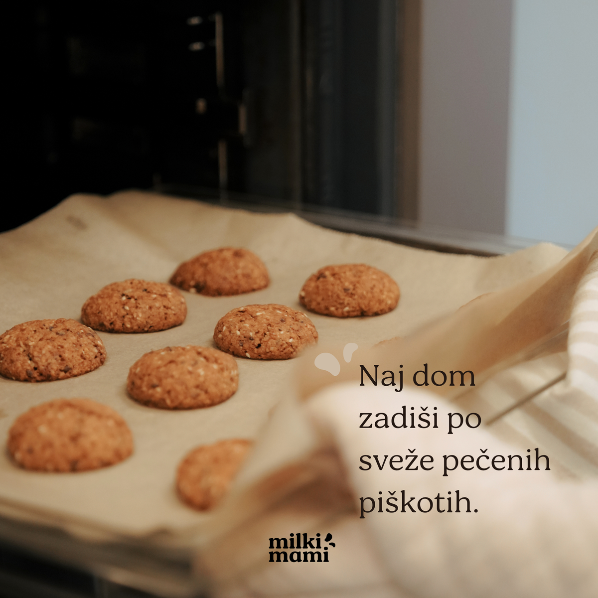 MISCELA BISCOTTI VEGANI PER L'ALLATTAMENTO - per 25 biscotti