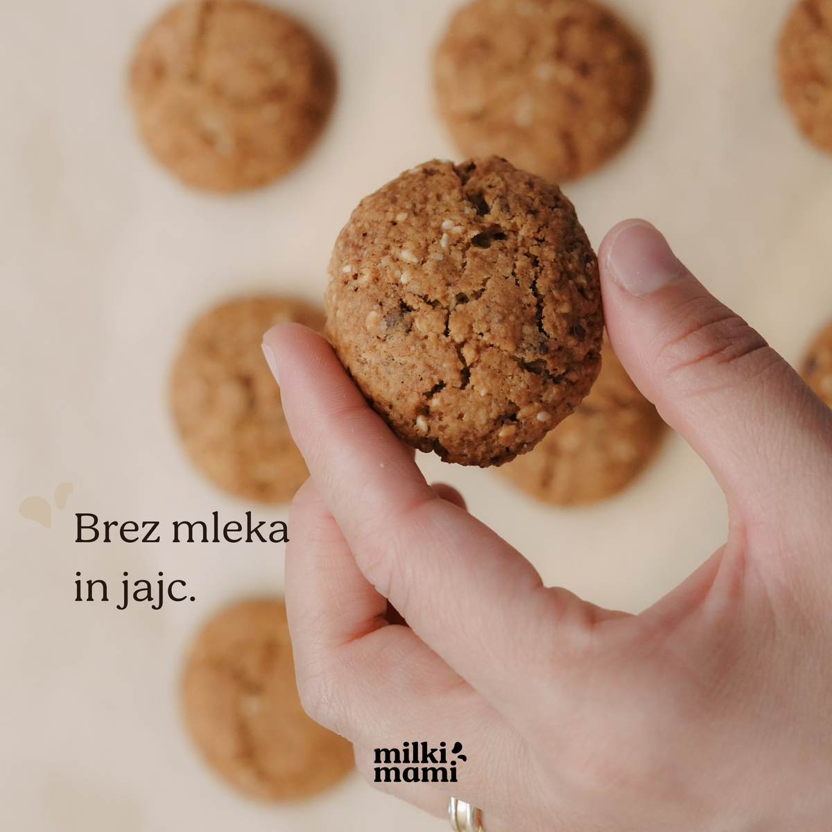 MISCELA BISCOTTI VEGANI PER L'ALLATTAMENTO - per 25 biscotti