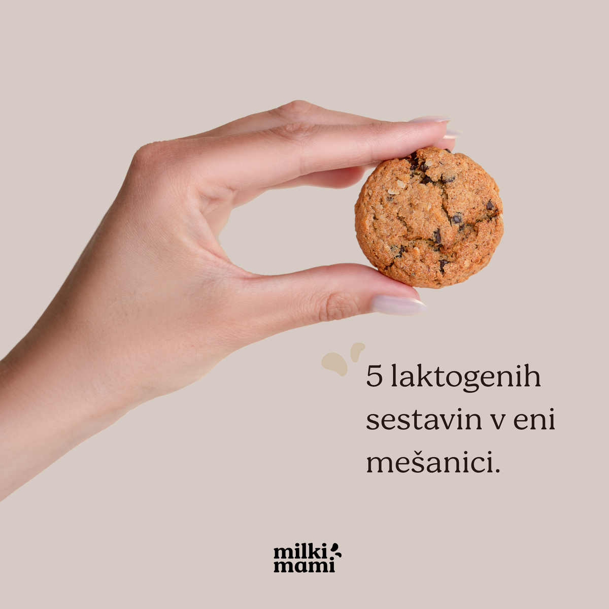 MISCELA BISCOTTI VEGANI PER L'ALLATTAMENTO - per 25 biscotti
